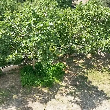 Comfortable In Makarska, 80 M², Sea View And Terrace * Makarska